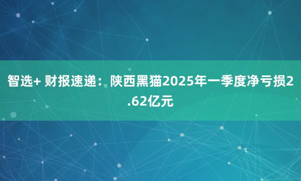 智选+ 财报速递：陕西黑猫2025年一季度净亏损2.62亿元