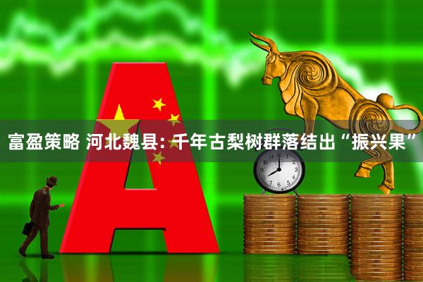 富盈策略 河北魏县: 千年古梨树群落结出“振兴果”