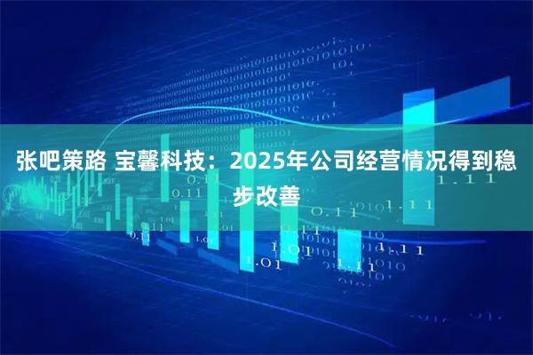 张吧策路 宝馨科技：2025年公司经营情况得到稳步改善